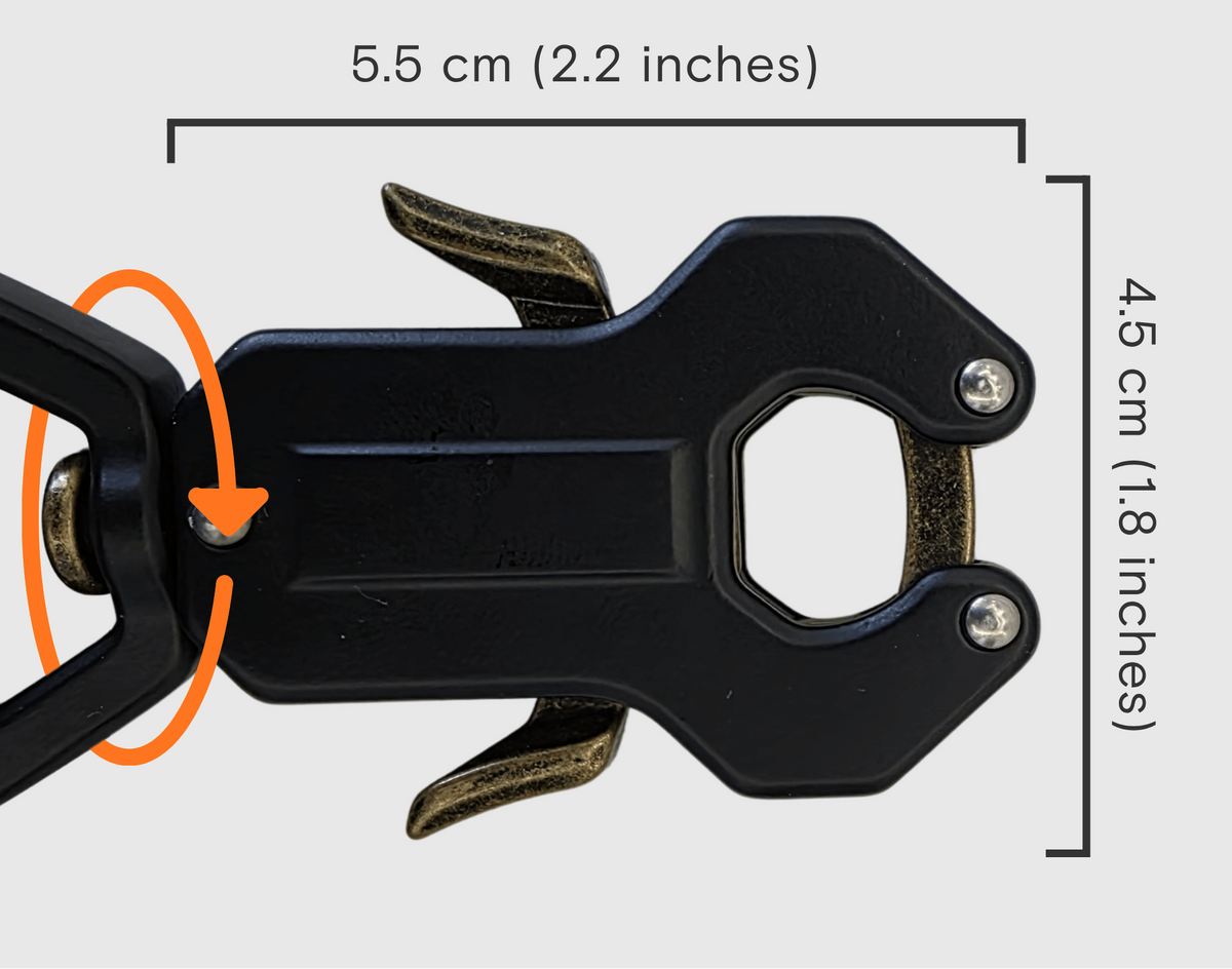 Double-Lock