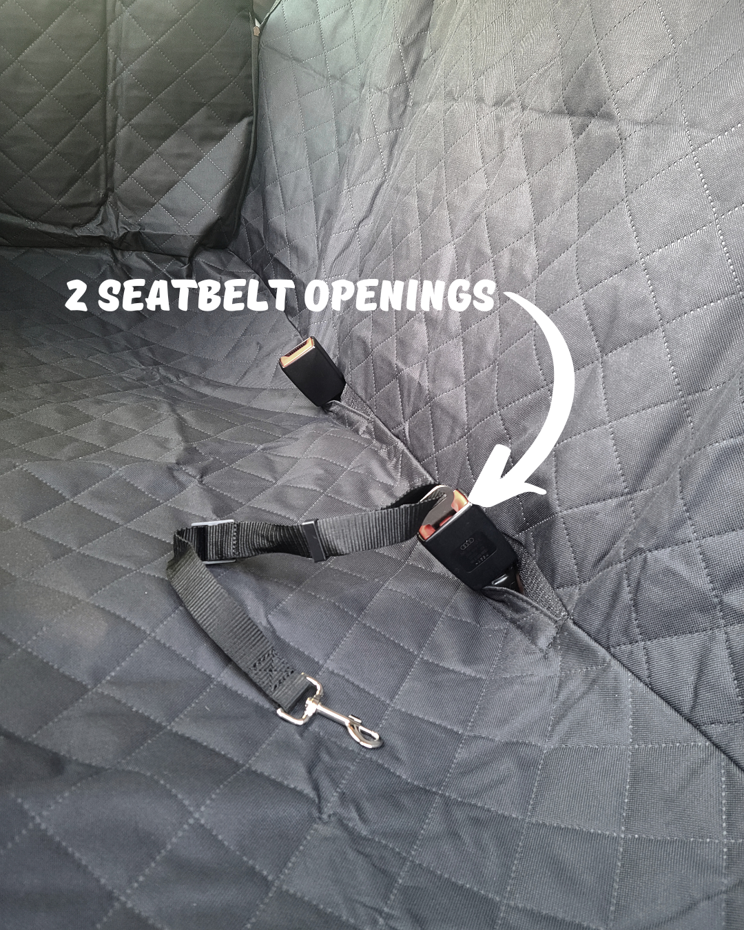 Pet Car Backseat Cover