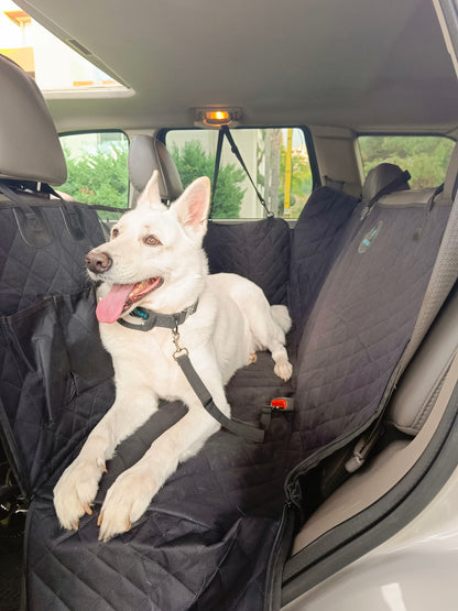 Dog Seatbelt